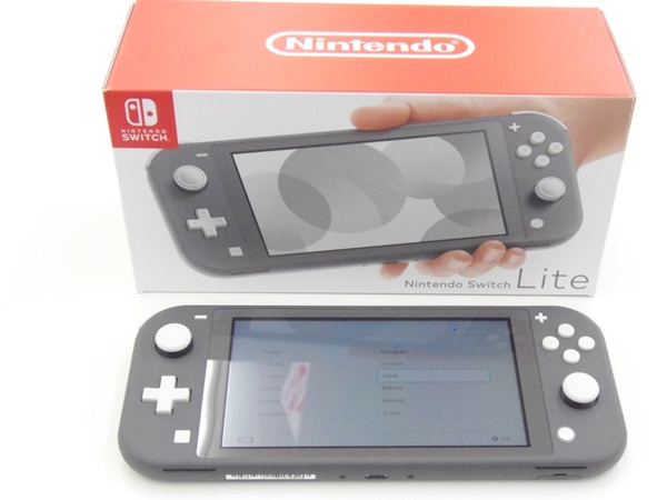 Nintendo Switch NINTENDO SWITCH LITE グレー www.disdukcapil