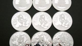 2023年 パンダ銀貨 10元 Ag999 30g 楽天市場】☆即納追跡可☆ 中国 2023 パンダ 10元 30g 銀貨 【1枚